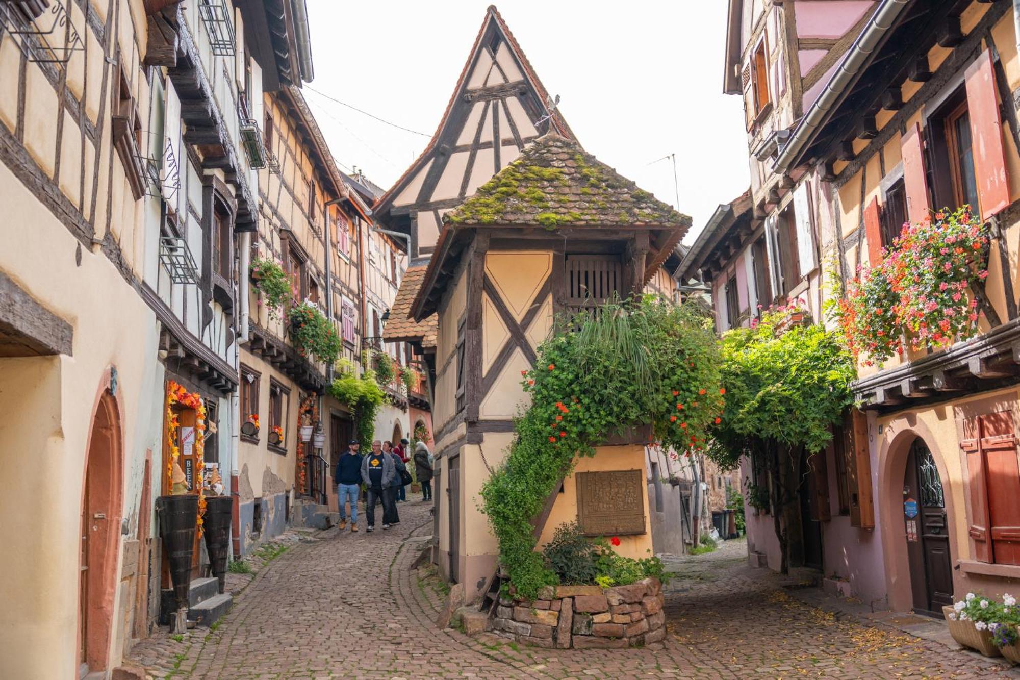 Chambre Rose Des Vents Eguisheim Bagian luar foto